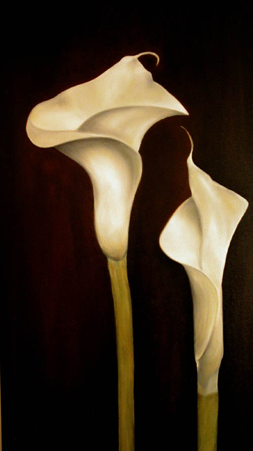 Two Cala Lilies set against a dark brown background